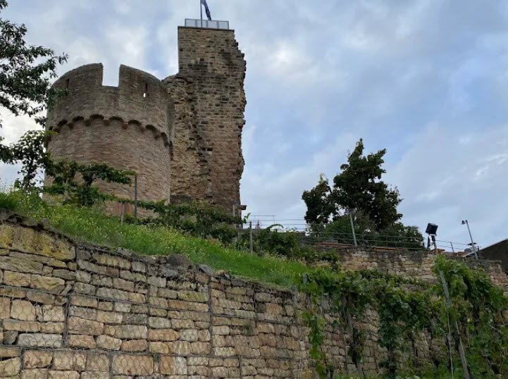 Wachenheim Castle, Wachenheim, Germany, Germany
